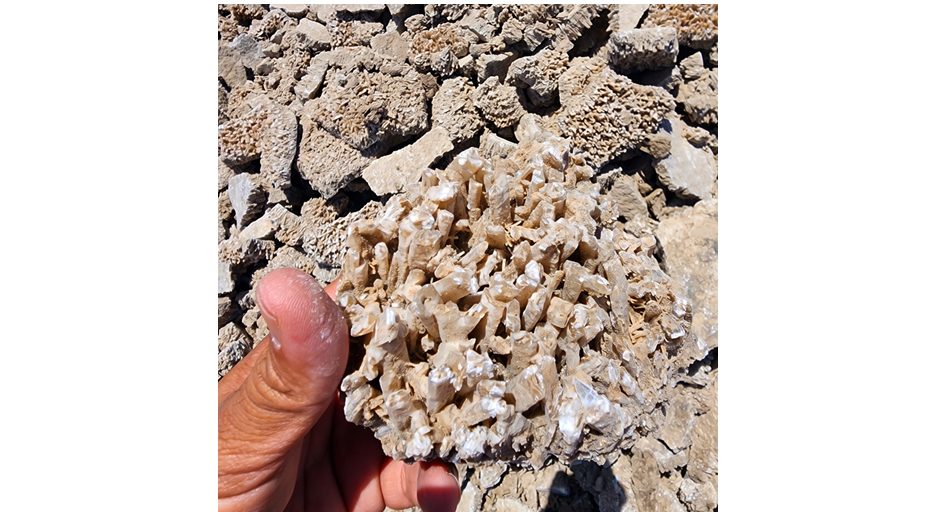 Marine Gypsum — Neelkanth Group