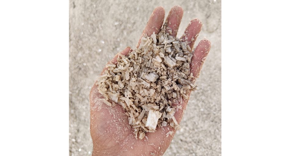 Marine Gypsum — Neelkanth Group