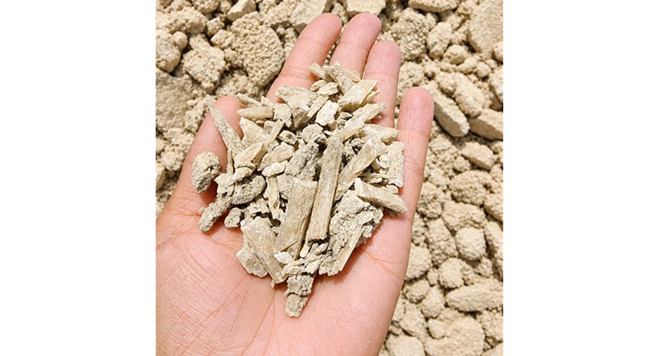 Marine Gypsum — Neelkanth Group