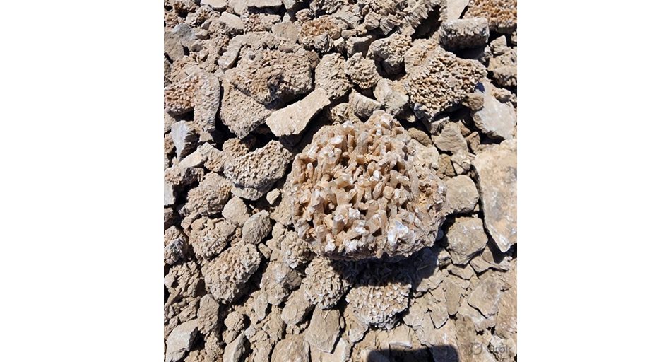 Marine Gypsum — Neelkanth Group