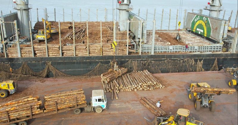 Shipping & Logistics — Neelkanth Group